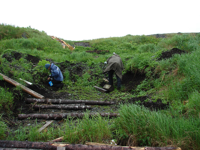 A recent cut into the peat for beach access, yielded many French artifacts.